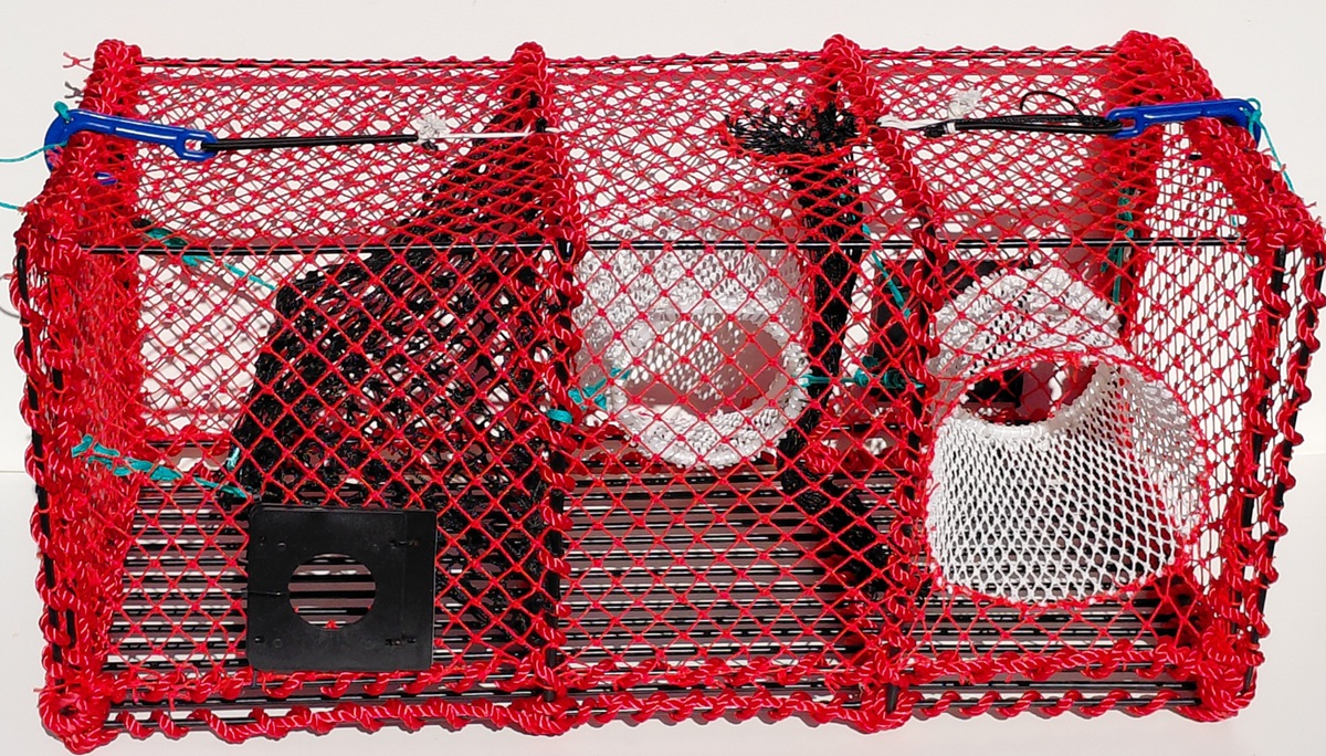 Hummerteine krabbeteine med innerkammer Oransje